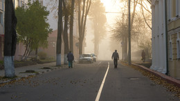 im Herbstnebel / ***