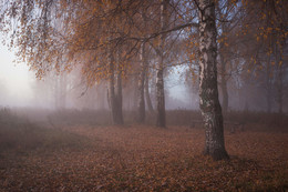 Herbst-Skizzen / ***