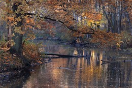 Herbst / ***