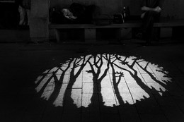 Träume / ***