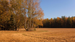 Redhead Herbst / ***