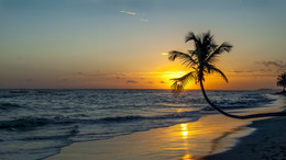 New Day / ***