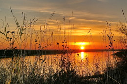 Bei Sonnenuntergang / ***