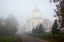 im Herbstnebel / ***