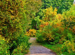 Bunte Herbst / ***