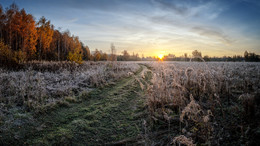 Weg / ...
