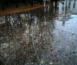 Spiegel im Herbst / ***