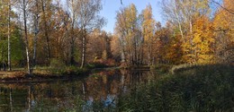 Herbst / ***