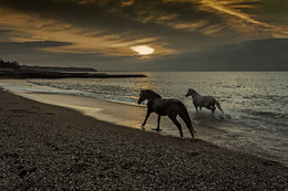 Abendstimmung am Meer / ***