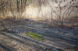 Erster Tag des Monats November / ***
