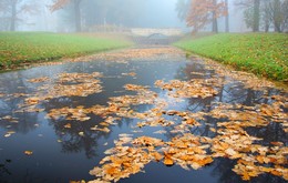 Herbstmorgen ... / ***