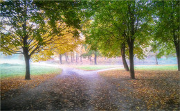 Morgen in den Park / ***