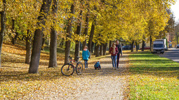 Herbst Wanderung / ***