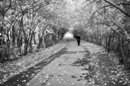 Verlassen Herbst / ***