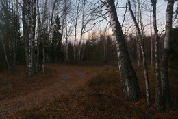 Herbst Morgendämmerung / 2018