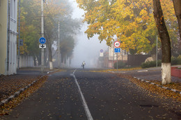 Verschwinden im Nebel / ***