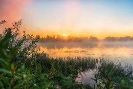 Morgendämmerung / ***
