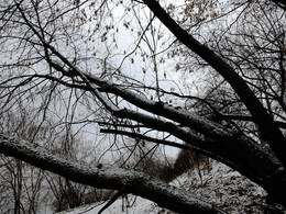  / 2014-11-21-0244-jpg-C00-048(80)+C