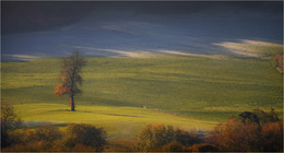 ...Lonely... / ***