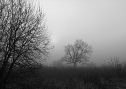 Autumn Silhouetten / ***