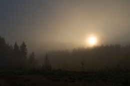 Herbstmorgen / ***