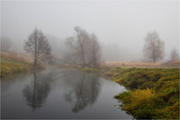 Nebel / ***
