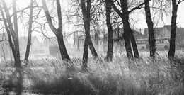 Sonniger Morgen / ***