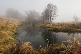 Herbstnebel / ***