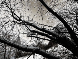  / 2014-11-21-0244-C000-024(80)+C