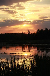 Sonnenuntergang / ***