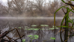 Muster auf dem Wasser / ***