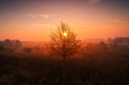 in der Sonne / ***