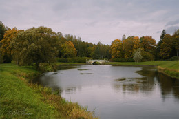 Herbst / ***