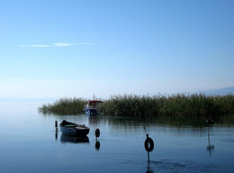 Morgen / ***