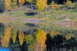 Herbstfarben der Natur. / ***
