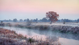 frostigen Morgengrauen / ***