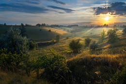Zum Licht / ...