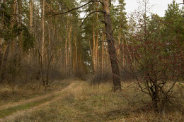 Herbst / ***