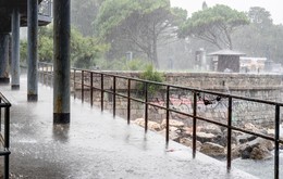 Regenguss / ***