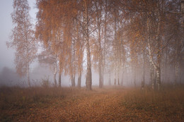 Herbst-Skizzen / ***