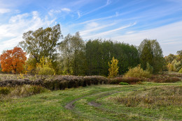 Weg / ***