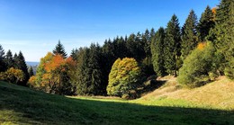 Vormittag / ***
