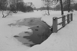Im Park. / ***