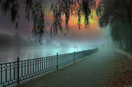Der Winter kommt ... / ***