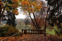 Herbst / ***