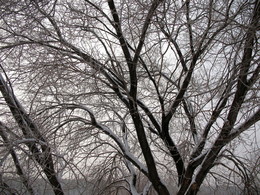 Winterflugplan / ***