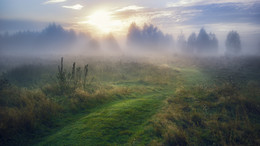 Der Sonne entgegen / ***