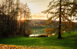 Herbst im Herzen / ***
