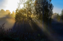 September-Morgen / ***