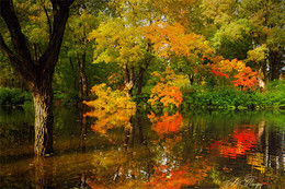 Herbst-Aquarell / ***